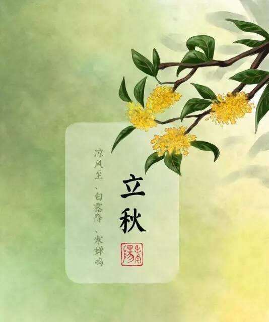第207页