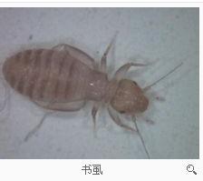 游戏专题 第33页