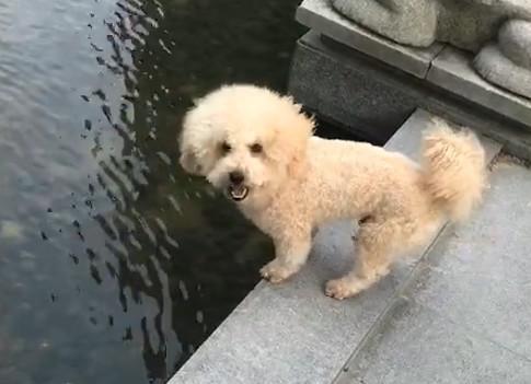 港澳新闻 第10页