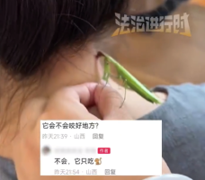 让螳螂吃颈后肉瘊子螳螂与颈后肉瘊子，自然疗法的奥秘